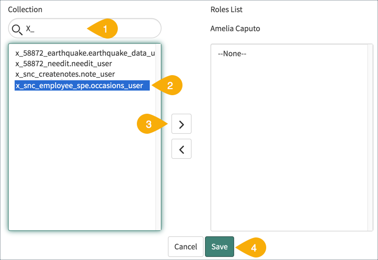 Roles ServiceNow Developers
