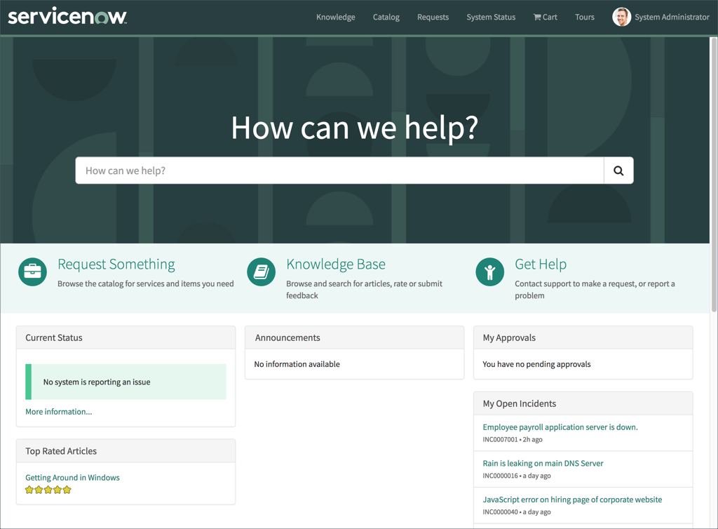 ServiceNow Developers