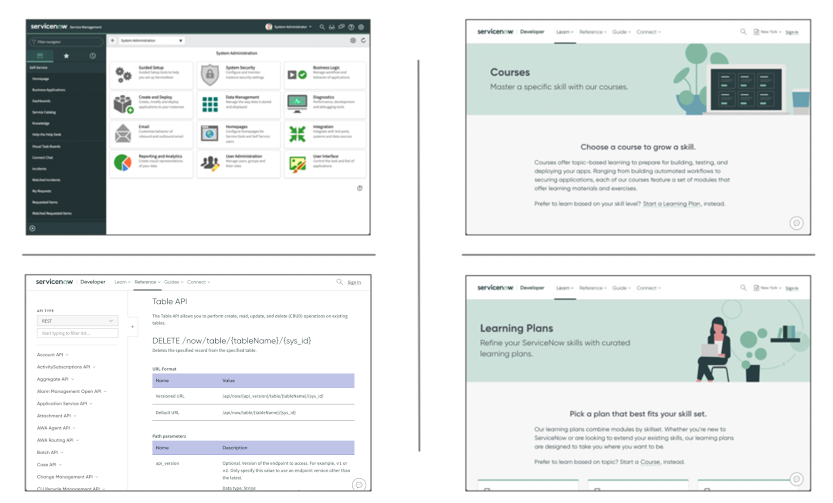 Servicenow developers